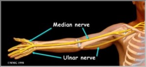 Neck Pain Symptoms which travel down your arm. - Osteopath Edinburgh