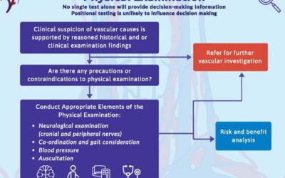 Cervical and Neck Clinical Reasoning for Potential Vascular Pathologies of the Neck